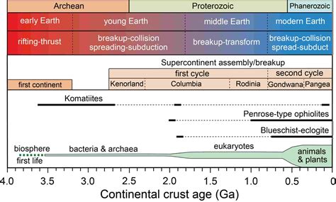 Plate tectonics in the Archean: Observation versus interpretation