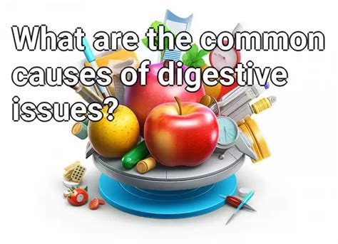 What are the common causes of digestive issues? – Health.Gov.Capital