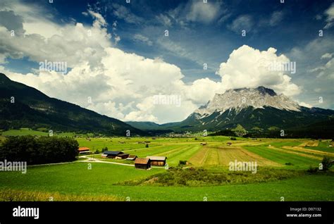 Alp Ecology Hi Res Stock Photography And Images Alamy