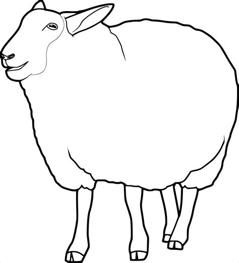 Cr Atif Coloriage Mouton Pics Coloriage