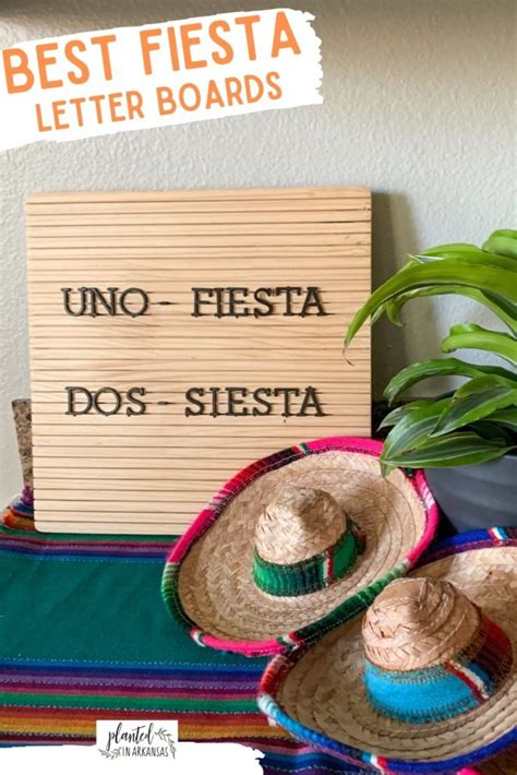 Best Cinco de Mayo Quotes and Fiesta Quotes for Parties