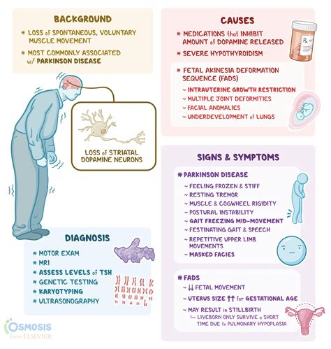 Akinesia: What Is It, Causes, Symptoms, and More | Osmosis