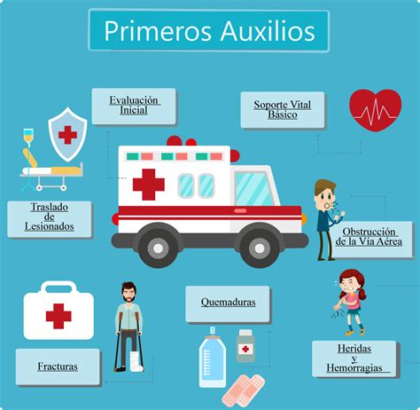 Primeros Auxilios En Línea Curso de Apoyo Temario Promotora de