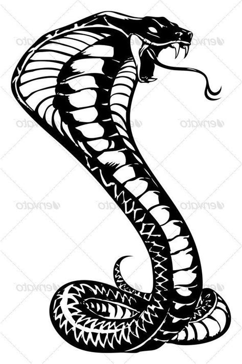 A Black And White Drawing Of A Snake On A Pink Background