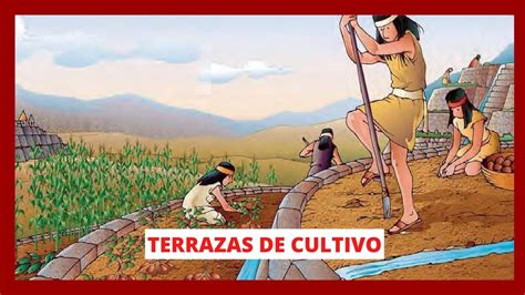 Terrazas De Cultivo Ventajas Incas En Latino Am Rica Youtube