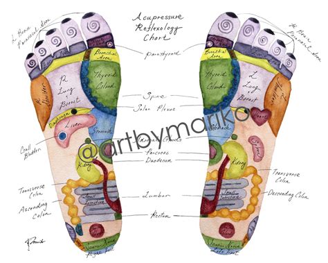 Foot Reflexology Chart Acupressure Chart Acupuncture Print Etsy Australia