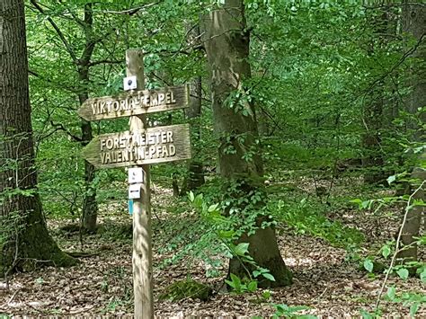 Heilklima Wanderweg Rothenhang Rh Kronberg Im Taunus