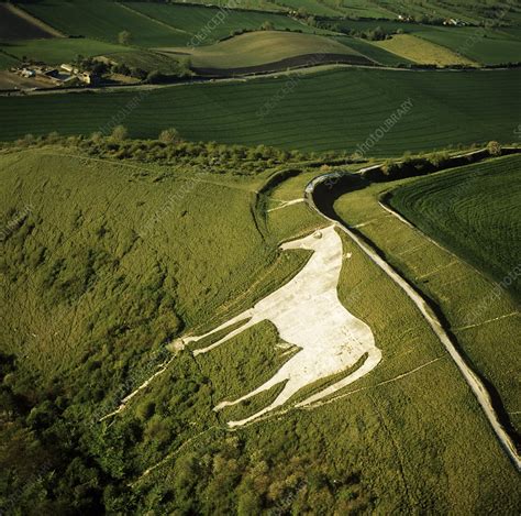 Westbury white horse - Stock Image - E750/0035 - Science Photo Library