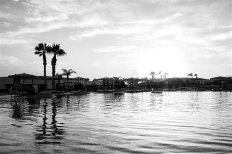 Landscape With Palm Trees Sunset Silhouette Egypt Stock Image