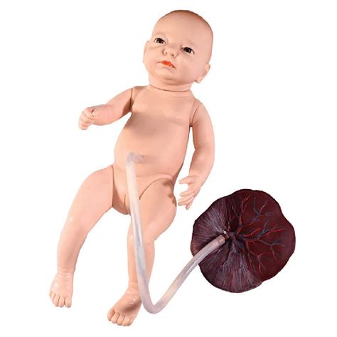 Buy Yunzhiduan Baby Training Model Advanced Neonatal Umbilical Cord