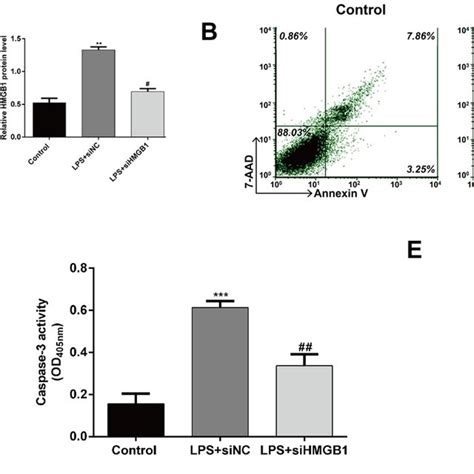 Effects Of Mir A P Overexpression In Lps Induced Chondrocytes