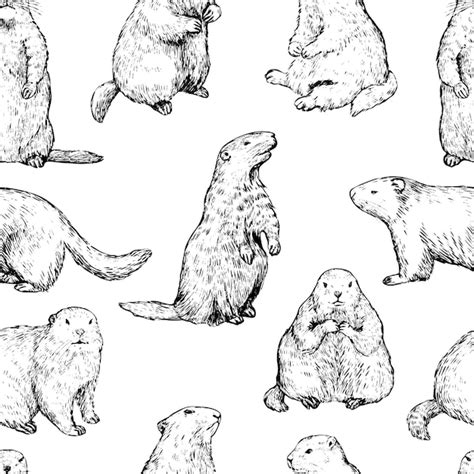 Modèle sans couture de marmottes croquis de marmottes Illustration