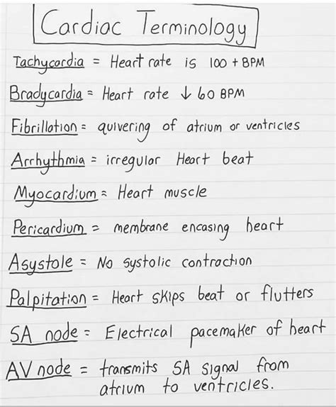 Cardiac Terminologies Medizzy