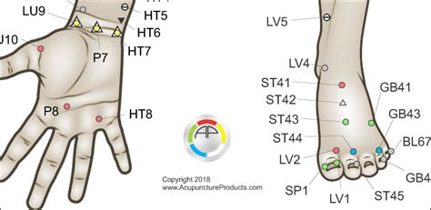 Five Element Acupuncture Theory Points Poster 24 X 36