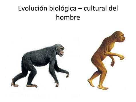 Prehistoria Y Primeras Civilizaciones PPT