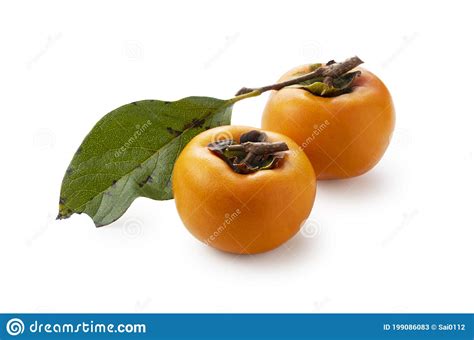 Japanese Persimmon On A White Background Stock Image Image Of Autumn