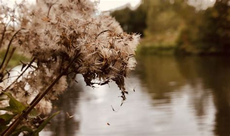 Winnaars Foto Van De Maand Natuurmonumenten