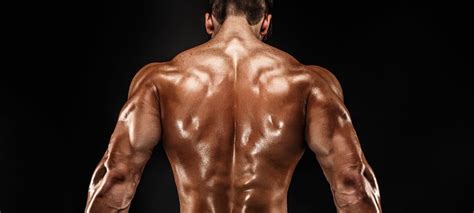 The Best Back Exercises To Build Muscle Fashionbeans