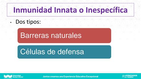 SOLUTION 13 Mfp Ii Clase 13 Sistema Inmunol Gico Removed Studypool