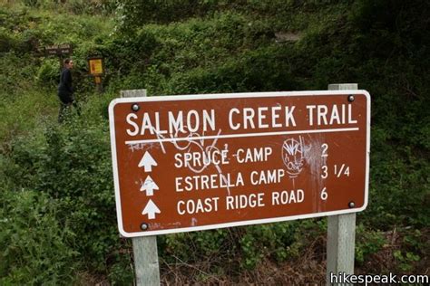 Salmon Creek Falls Trail Big Sur