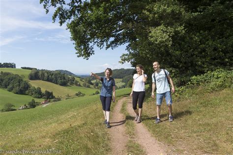 Wander Dich Gl Cklich S Dlicher Schwarzwald Wanderf Hrer