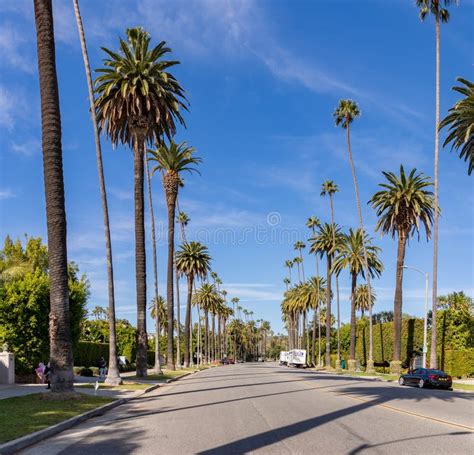 Beverly Hills Neighborhood editorial stock photo. Image of hills ...