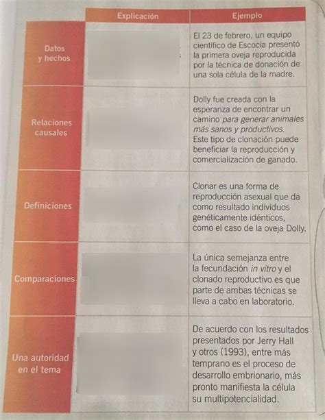 Espa Ol Primer Parcial Diagram Quizlet