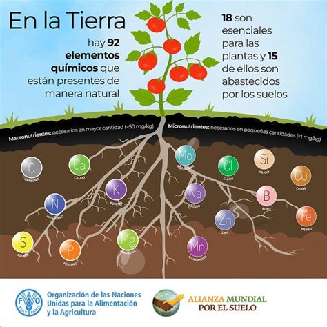 FAO Paraguay on Twitter En la Tierra hay 92 elementos químicos que