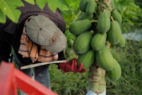 Trazabilidad Encuentra Y Sigue El Rastro De Los Alimentos Servicio