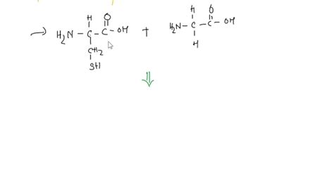 Solved Form A Peptide Bond Between The Amino Acids Cysteine And