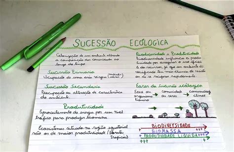 Mapamental Estudos Bullet Journal Mental Map