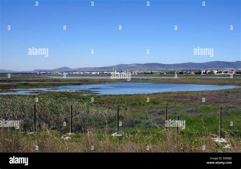 Rietvlei Wetland Reserve Hi Res Stock Photography And Images Alamy