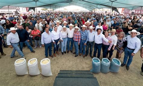 Ponen En Marcha Entrega De Semilla Frijol Pinto Saltillo Para