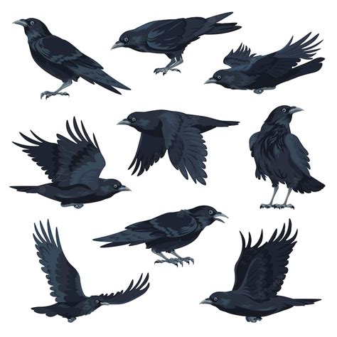 Premium Vector | Crow flying and sitting black avian animal vector