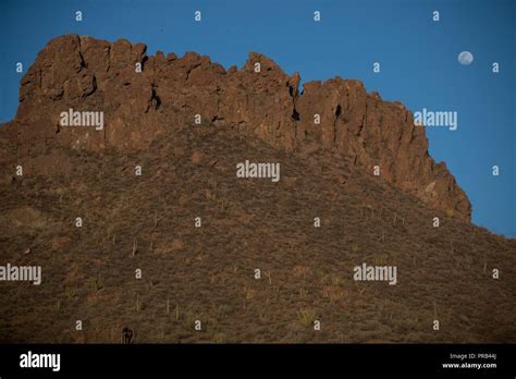 Sonora Desert Mexico High Resolution Stock Photography and Images - Alamy