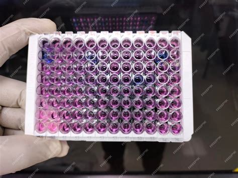 Premium Photo Enzyme Linked Immunosorbent Assay Elisa Plate