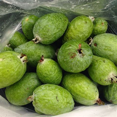 Relish the memory.: One Flourishing Feijoa Season