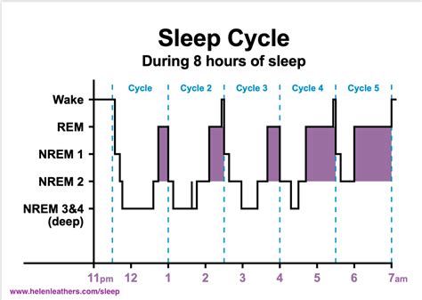 Why Do We Need 8 Hours of Sleep A Night? Let's Take A Look