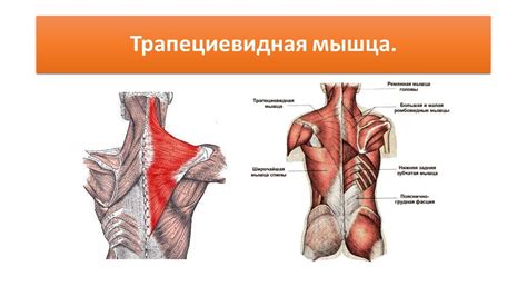 4 - ppt download