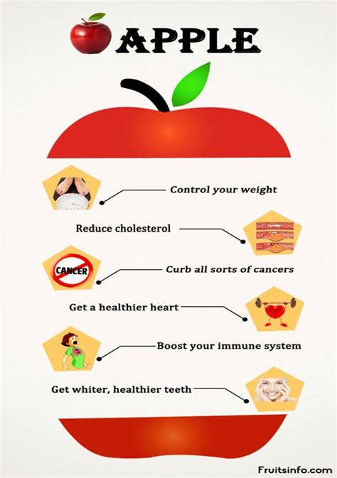 apple infographic parts nutrition facts health benefits apple