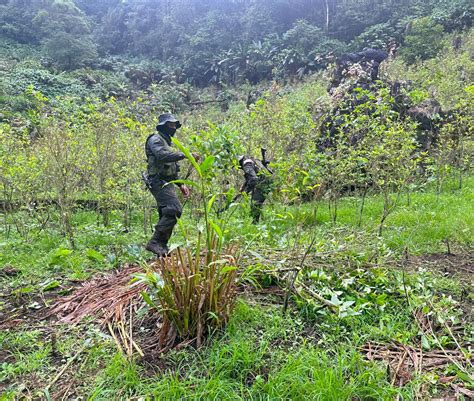 Ejército Guatemala on Twitter Soldados del EjércitoGT localizaron 3