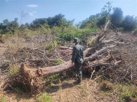 Fazendeiro é autuado em R 213 mil por destruir vegetação nativa em