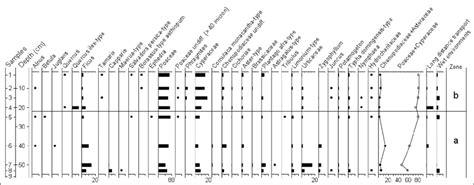 Pollen diagram of GO1 lakebed showing two main pollen zones. | Download ... 