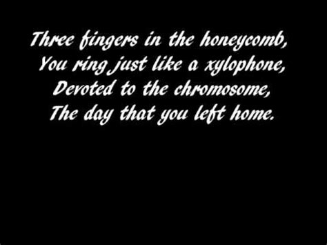 Red Hot Chilli Peppers Tell Me Baby Lyrics Youtube