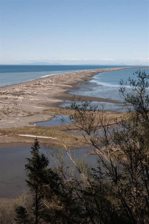 Portrait Shot Of Dungeness Spit Olympic Peninsula Usa Stock Image