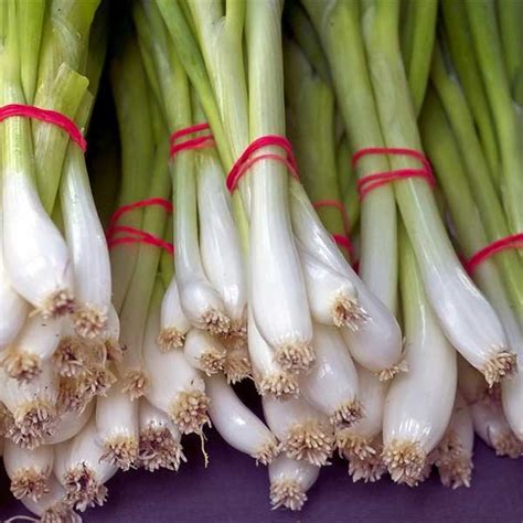 Green Onions – The Farmhouse Gourmet