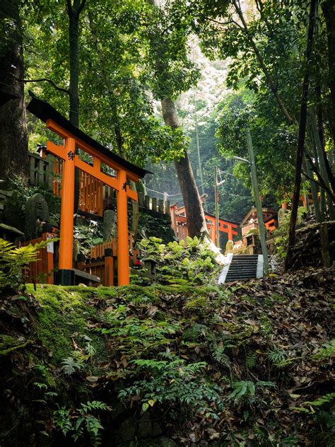 Fushimi Inari Shrine Hike [OC] : japanpics