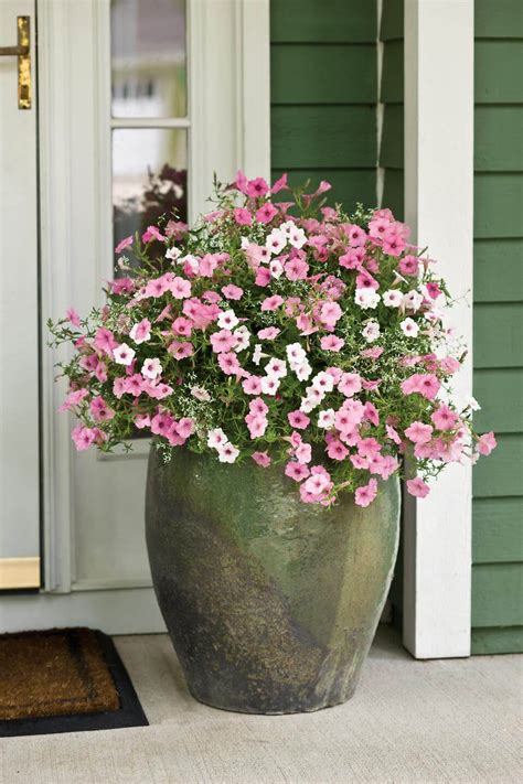 29 Best Front Door Flower Pots (Ideas and Designs) for 2018