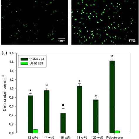 Proliferation rates of MG63 cells measured at 570 nm by MTT after 3, 7 ...