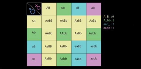 Heredity, Punnett Squares and Pedigree Charts | Attempts: 2601 - Quiz ...